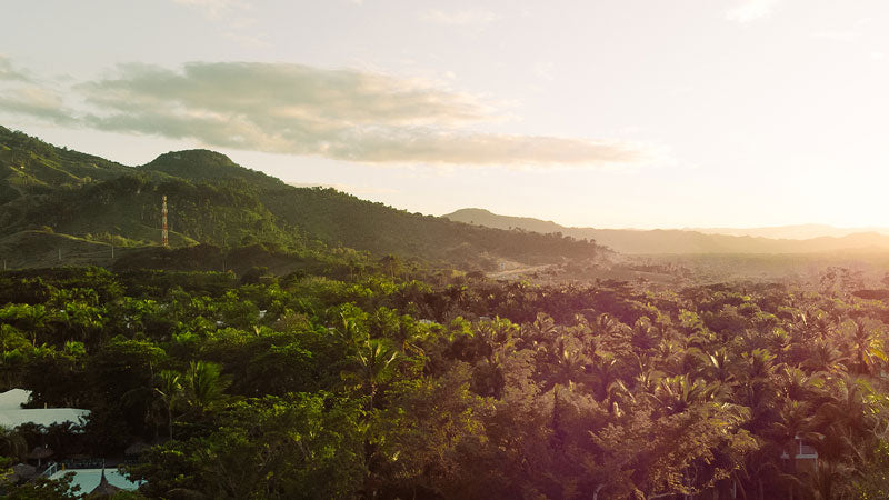 Dominican Daze